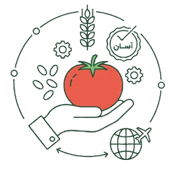 کیفیت و اصالت